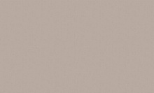 Однотонные серые обои (фон) Bernardo Bartalucci Artadi 84288-13