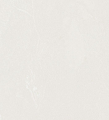 Обои для спальни Bernardo Bartalucci Gaga  84284-1