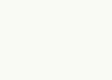 Rasch Step-Up W186012