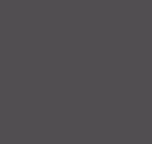 Обои фон в зал Loymina Materials Lotus Universe LOT2, 604