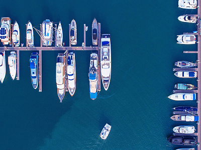 Фотообои Bird see 29, BIRD SEE, Wall street Фотообои Bird see 29, BIRD SEE, Wall street