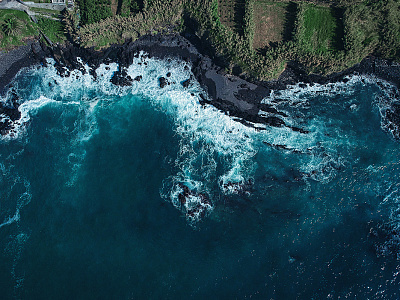 Фотообои Bird see 13, BIRD SEE, Wall street