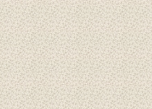 Rasch Novella 983128